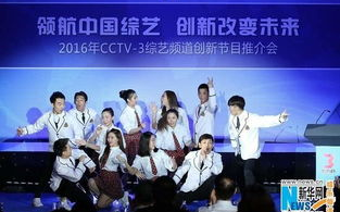 中国好声音导师,音乐巨匠的点评艺术-专业指导解析