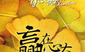 丈夫不在的日子，妻子如何应对挑战-生活策略解析