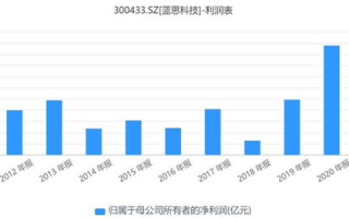 蓝思科技，智能制造领域的领军者-企业竞争力与未来发展解析