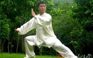 二十四式太极拳教学视频，助您轻松入门武术修炼-学习技巧与要点解析