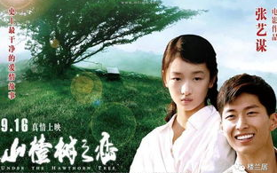 山楂树之恋，纯真爱情的深度剖析-经典文学作品解读