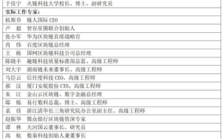 区块链应用操作员薪资大揭秘：高薪背后的技能与挑战