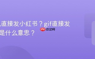 gif怎么直接发小红书？gif直接发小红书是什么意思？