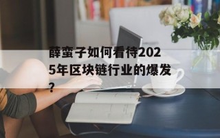 薛蛮子如何看待2025年区块链行业的爆发？