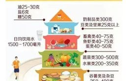 健康饮食策略,维持良好身体状态-实用方法解析