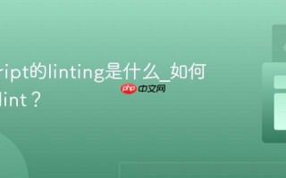 javascript的linting是什么_如何使用eslint？