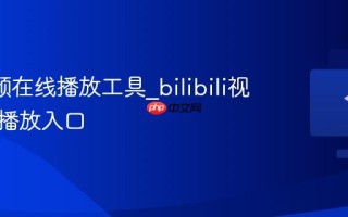 b站视频在线播放工具_bilibili视频在线播放入口