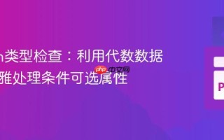 Python类型检查：利用代数数据类型优雅处理条件可选属性