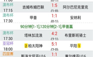 捷时捷报足球比分，实时精准掌握赛事动态-使用指南与技巧分析