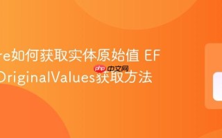 EF Core如何获取实体原始值 EF Core OriginalValues获取方法