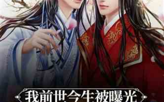 东北往事之黑道风云20年有声小说,深度剖析黑道文化-聆听历史回响