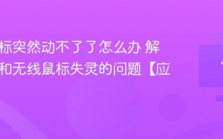 电脑鼠标突然动不了了怎么办 解决有线和无线鼠标失灵的问题【应急】