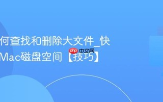 Mac如何查找和删除大文件_快速释放Mac磁盘空间【技巧】