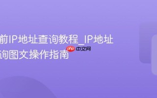 我的当前IP地址查询教程_IP地址在线查询图文操作指南