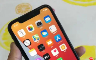 为什么我的iPhone只能用一边充电？ Lightning接口针脚问题