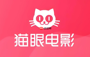猫眼电影app的电影票可以开发票报销吗_猫眼电影电影票发票与报销说明