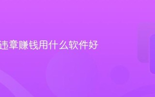 拍汽车违章赚钱用什么软件好