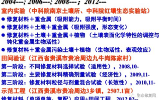 原来你也在这里免费观看电视剧-SEO优化策略与实践