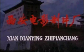 中国电影网,数字时代下的电影产业变革-观影体验优化解析