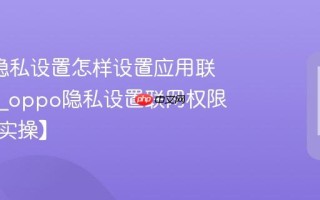 oppo隐私设置怎样设置应用联网限制_oppo隐私设置联网权限管理【实操】
