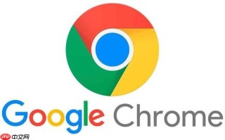 Chrome怎样管理网站权限_控制摄像头访问【权限管理】