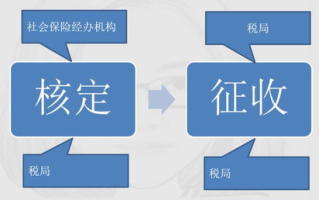 日本视频社区动漫,探索动漫爱好者的天堂-资源与体验解析