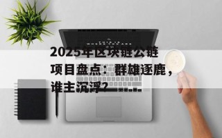 2025年区块链公链项目盘点：群雄逐鹿，谁主沉浮？