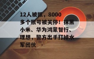 12人被抓，8000多个账号被关停！抹黑小米、华为鸿蒙智行、理想，警方出手打掉水军团伙