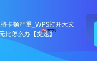 WPS表格卡顿严重_WPS打开大文件巨慢无比怎么办【提速】