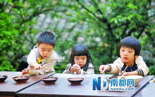爸爸去哪儿第二季免费完整版观看指南-合法途径与节目亮点