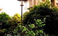小草小区二区三区四区管理优化策略-提升居住品质解析
