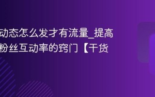 百家号动态怎么发才有流量_提高百家号粉丝互动率的窍门【干货】