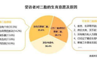 专业私人保姆选择指南-服务品质与安全保证解析