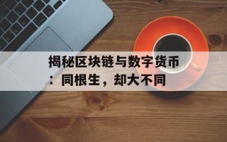 揭秘区块链与数字货币：同根生，却大不同
