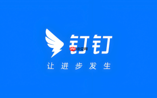 钉钉网页版登陆地址 钉钉网页版企业组织入口