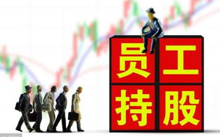 打造和谐企业文化，改善公司员工味道-管理策略与实践