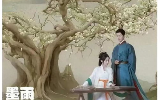 墨雨云间全40集剧情解析与深度解读