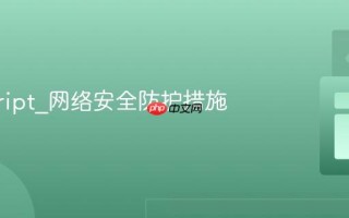 javascript_网络安全防护措施