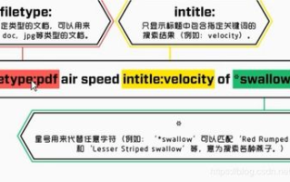 选择最佳磁力搜索引擎,提高搜索效率与安全性-技巧解析