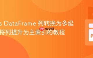 Pandas DataFrame 列转换为多级索引：将列提升为主索引的教程