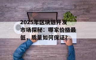 2025年区块链开发市场探秘：哪家价格最低，质量如何保证？