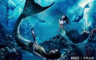 美人鱼真实照片揭秘-揭开神话与现实的面纱