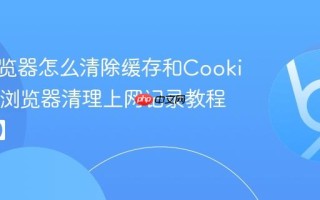 悟空浏览器怎么清除缓存和Cookie_悟空浏览器清理上网记录教程【步骤】