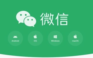 微信文件助手网页版怎样批量下载文件_微信文件助手网页版批量下载操作与技巧【教程】