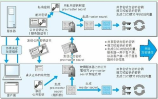 揭秘区块链：从技术层面探讨区块链的多样化类型