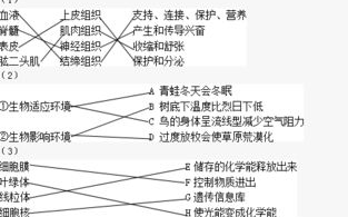 优化内容呈现,提升观众耐性-114分钟完整版解决方案解析