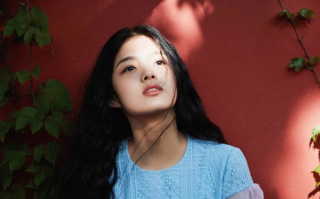 金南珠：才华与美貌并存的韩国影视女神