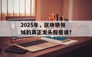 2025年，区块链领域的真正龙头股是谁？