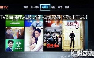 免费观看电视剧软件推荐与选择指南