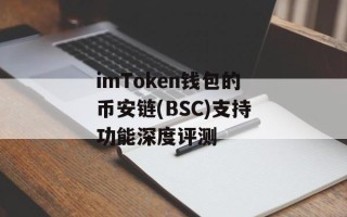 imToken钱包的币安链(BSC)支持功能深度评测